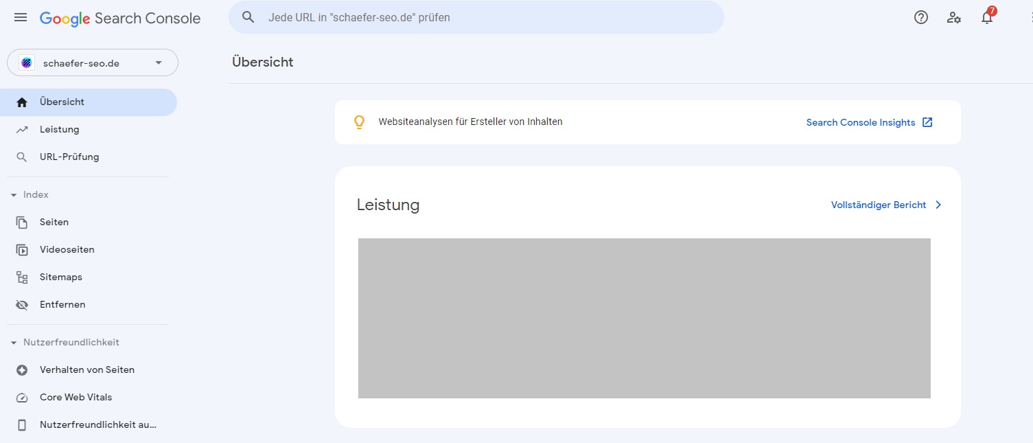 Einblick in die Google Search Console - Schäfer SEO