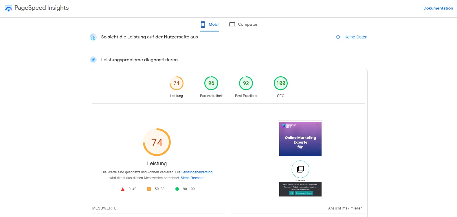 Report über PageSpeed - Schäfer SEO