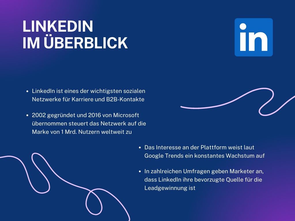 Schaefer SEO - LinkedIn im Überblick