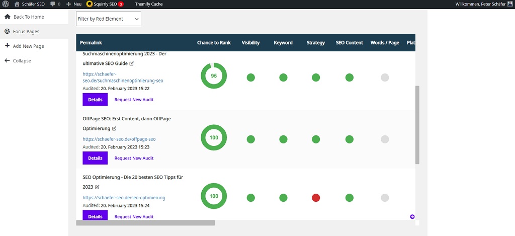 Schäfer SEO - Squirrly SEO Focus Pages Screenshot 1