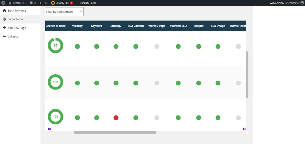 Schäfer SEO - Squirrly SEO Focus Pages Screenshot 2