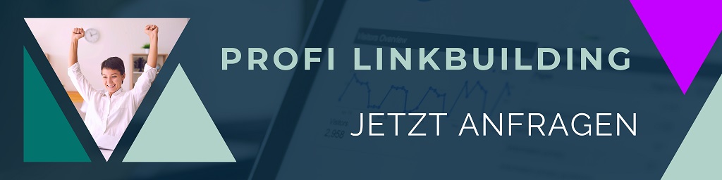 Schäfer SEO - Profi Linkbuilding