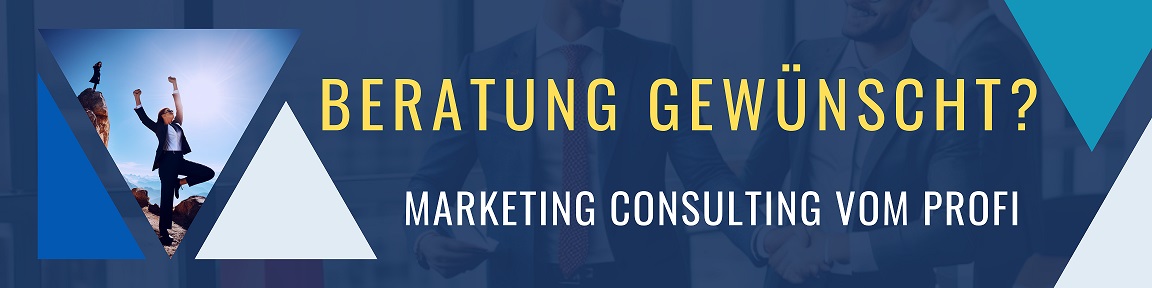Schäfer SEO Profi Consulting Beratung